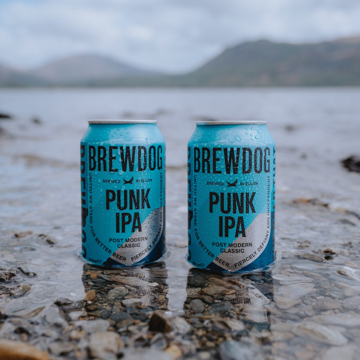 Punk IPA